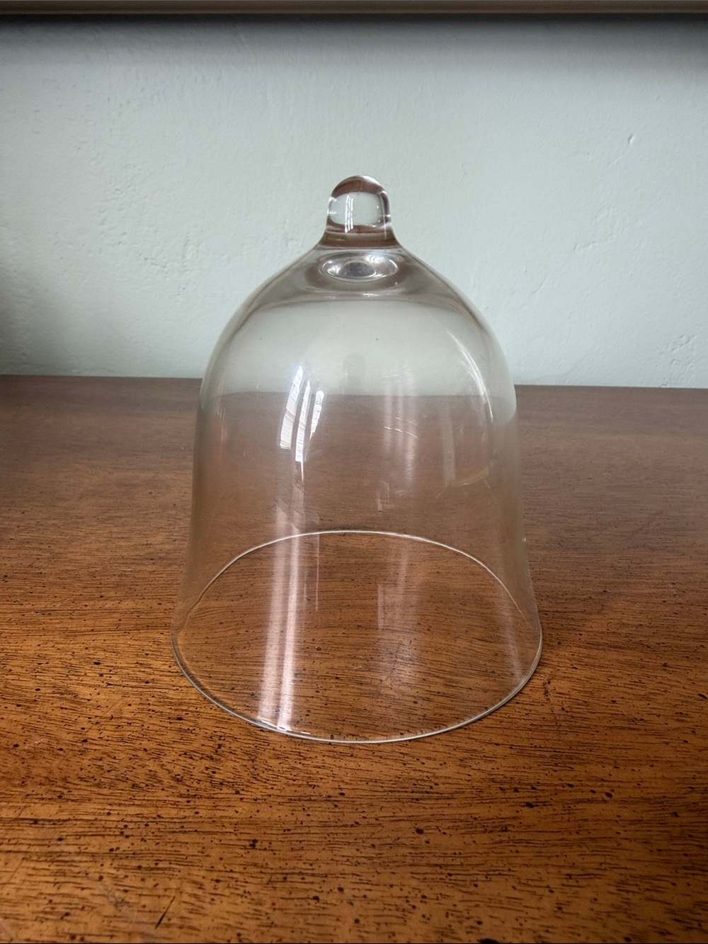 Clear Glass Cloche Bell Jar Dome Display Cover